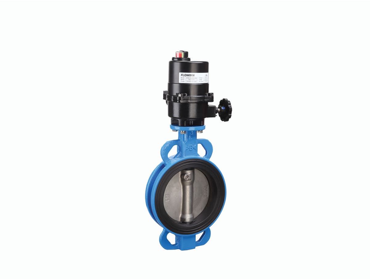 Valves BWTX