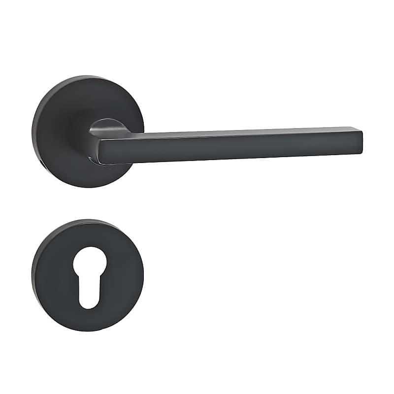 Interior Door Hardware LF03-10