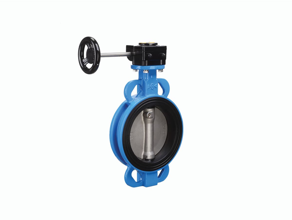 Valves BWGX