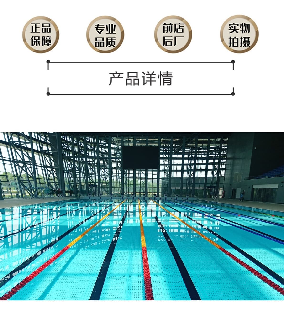 Pool Equipment SF-ZPT-1000YC - image 1