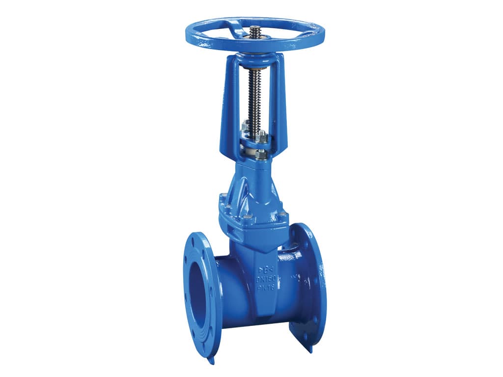 Valves RVRX