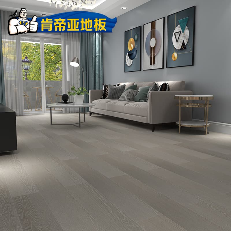 肯帝亚 Wood Flooring DEC-9S3IA - ภาพตัวอย่าง 2