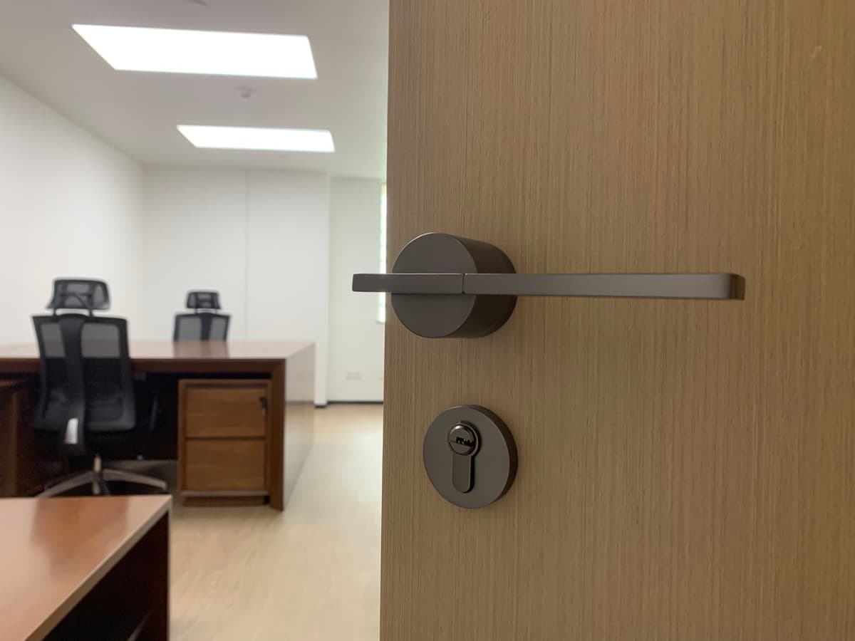 GSM Interior Door Hardware LNK133 - thumbnail 2
