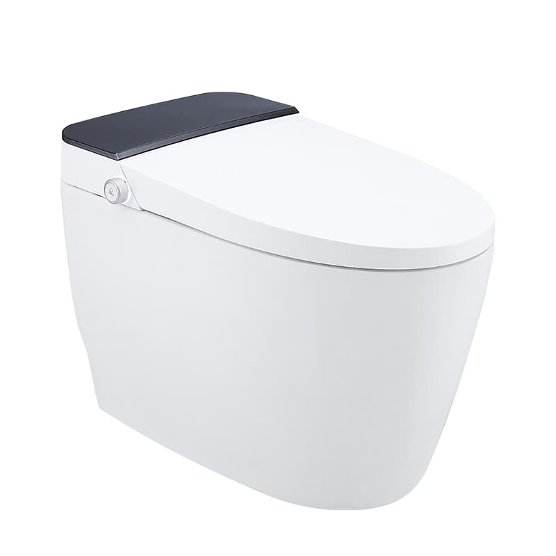 智小金 Ceramic Sanitary Ware DEC-C6SQU - ảnh 1