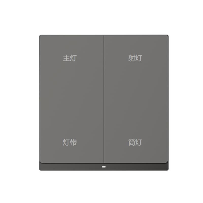 Switches & Sockets N50IL24-TY