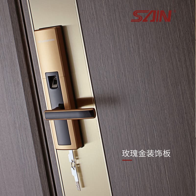 赛银 Steel-Wood Entrance Doors CIV-NX1C8 - ภาพตัวอย่าง 2