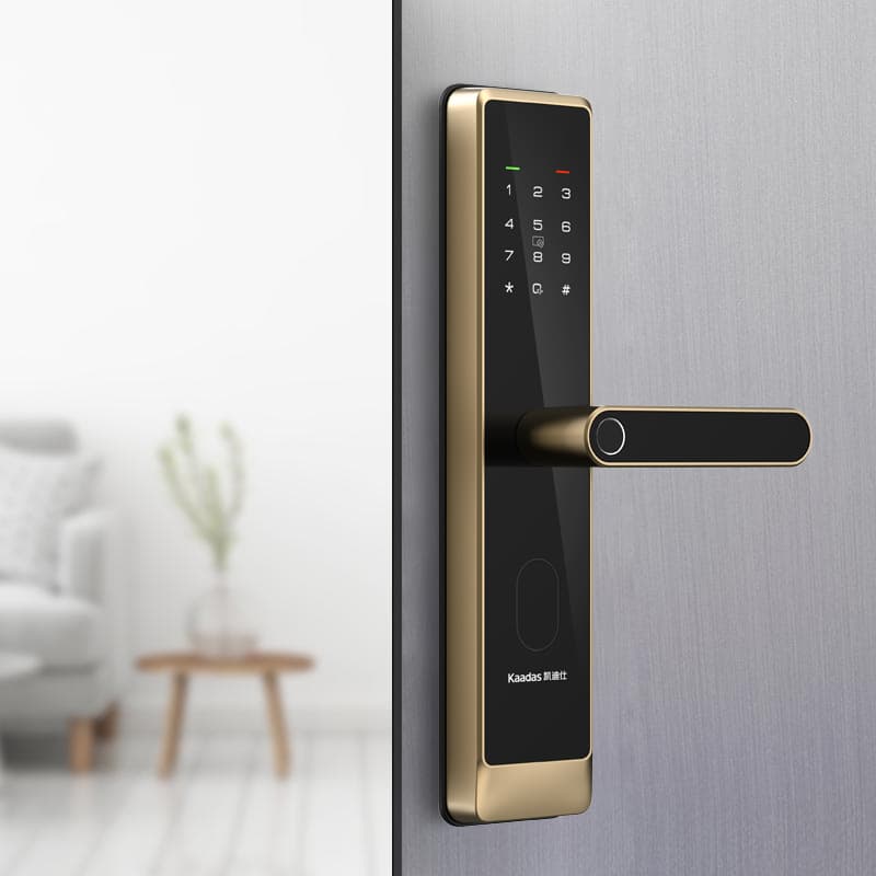 凯迪仕 Entrance Door Locks CIV-1NUSG - ảnh 1