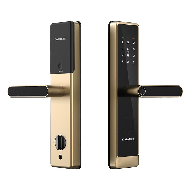 凯迪仕 Entrance Door Locks CIV-1NUSG - ảnh thu nhỏ 2