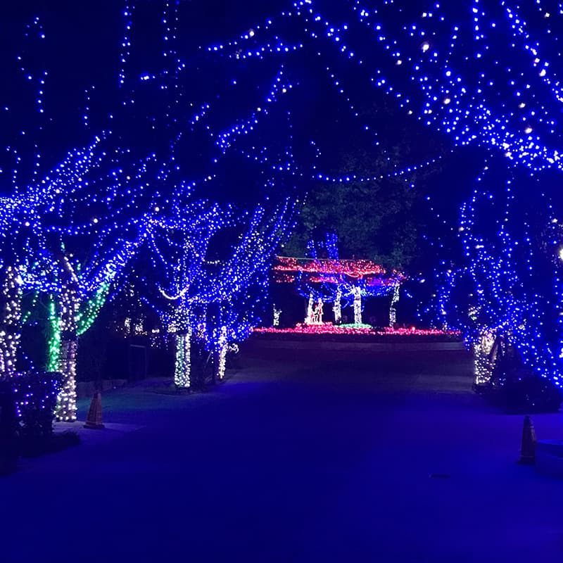 Outdoor Lighting CBL2099 - thumbnail 2