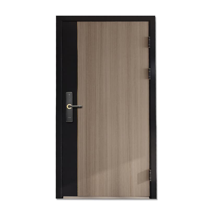 王力 Steel Entrance Doors CIV-Z3EYN - ảnh 1