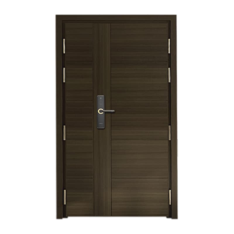 王力 Steel-Wood Entrance Doors CIV-NGIS2 - ảnh 1
