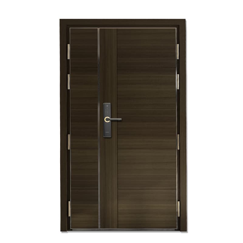 王力 Steel-Wood Entrance Doors CIV-6RLZN - ảnh 1