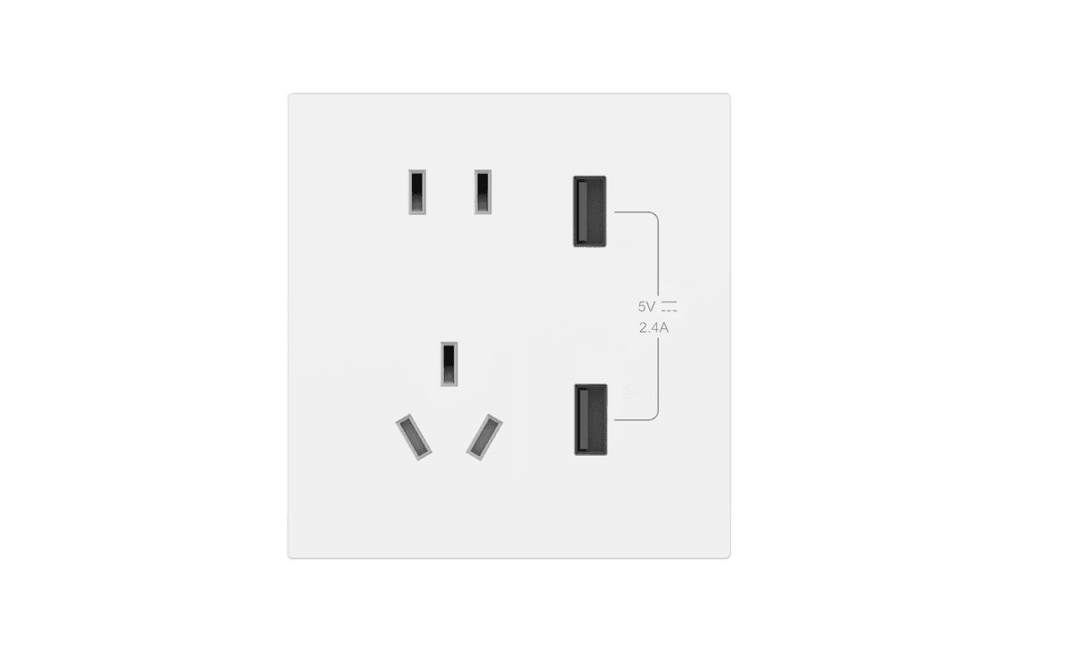 Switches & Sockets N50Z23T66 - image 1