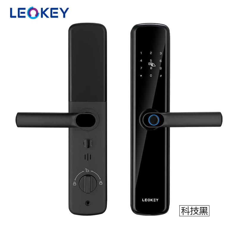 Entrance Door Locks - image 1