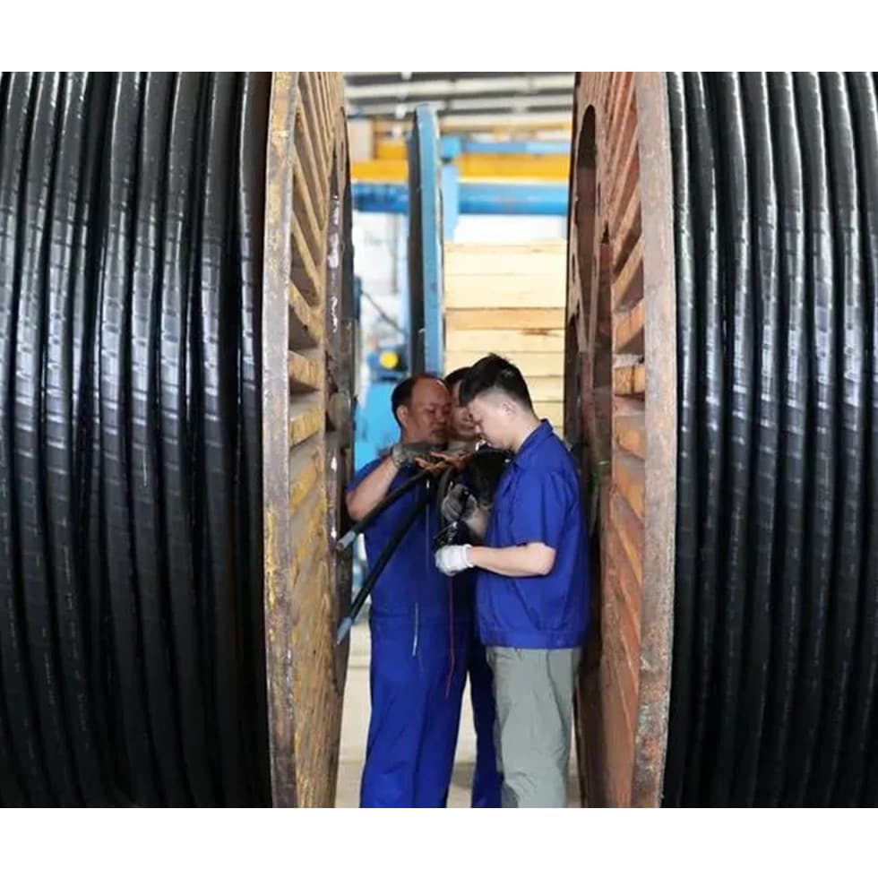 铭冠万城 Wires & Cables WEL-MNP3S - ภาพตัวอย่าง 2