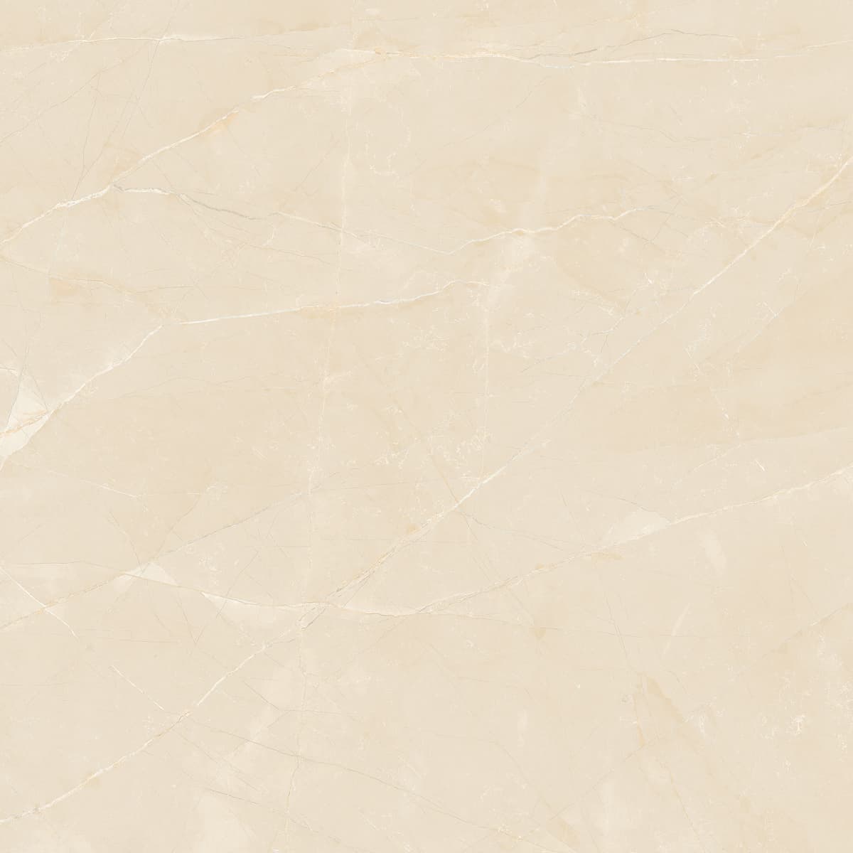 Gạch ceramic C8JD8846 - ảnh 1