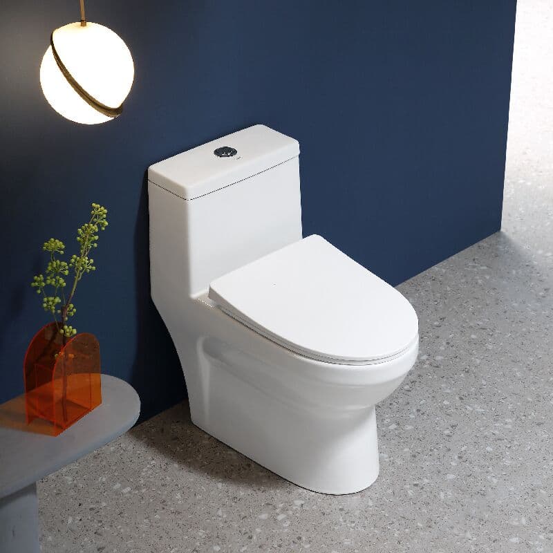 BOLINA Ceramic Sanitary Ware W2101