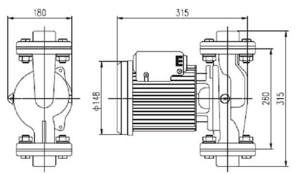Bơm nước HP-125E - ảnh 1