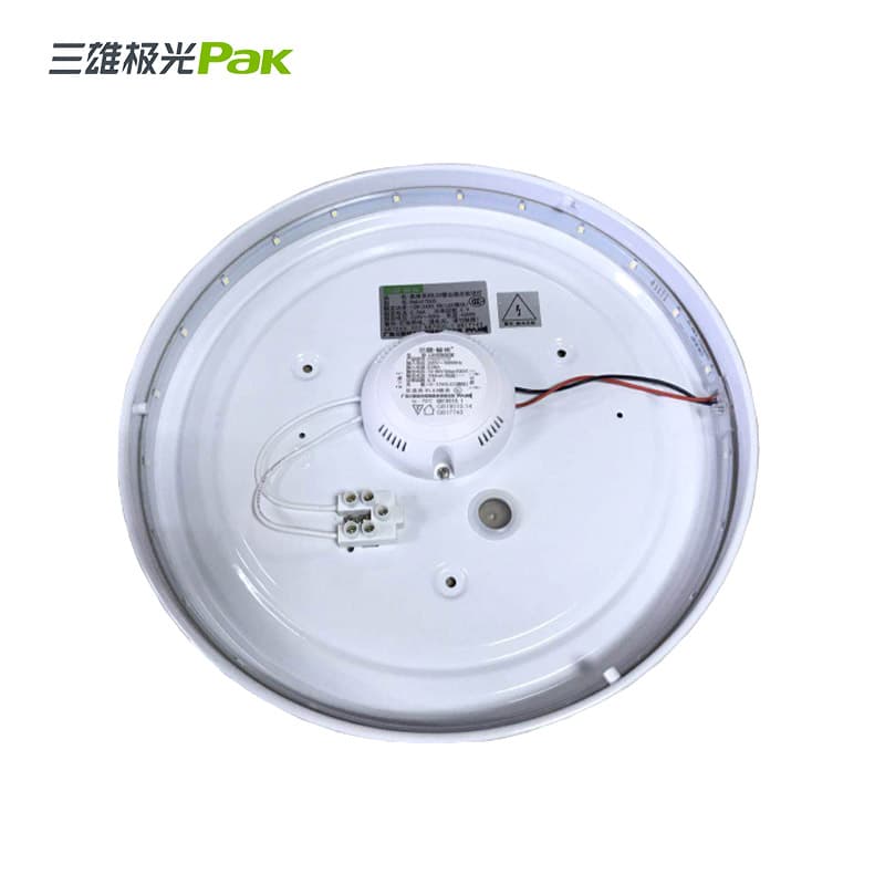 Đèn chiếu sáng PAK417005 - ảnh 1