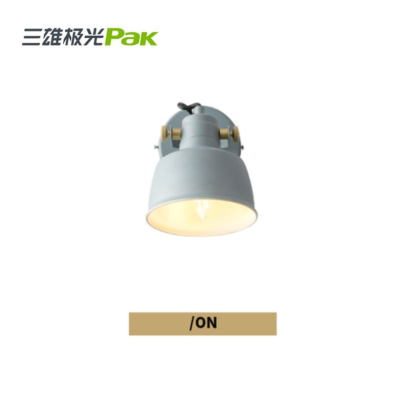 Lighting Fixtures