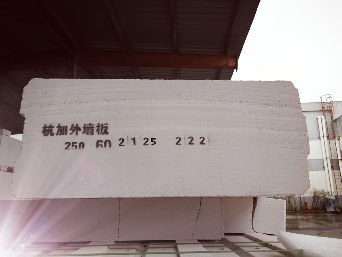 ALC Panels 250mm
