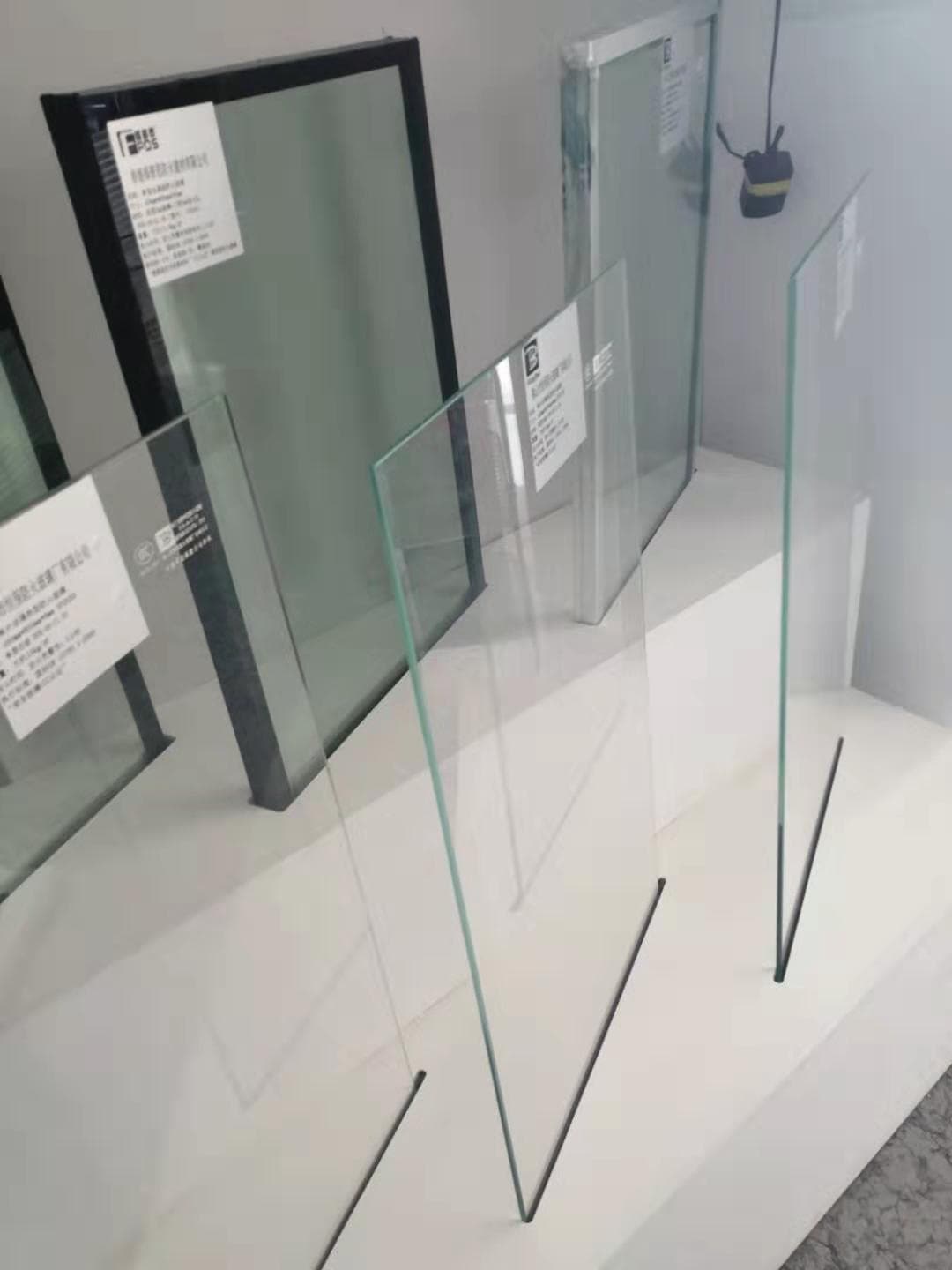 Door & Window Glass