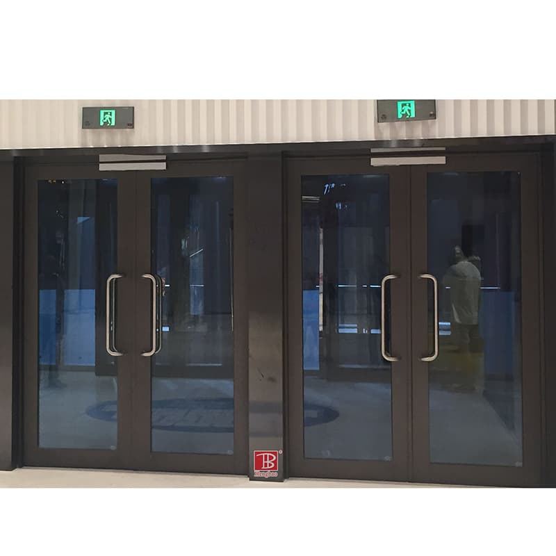 Door & Window Glass 6SV2133