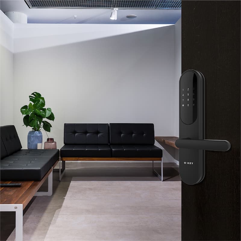 Entrance Door Locks D31-00