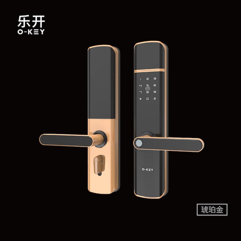 Entrance Door Locks -D16-11
