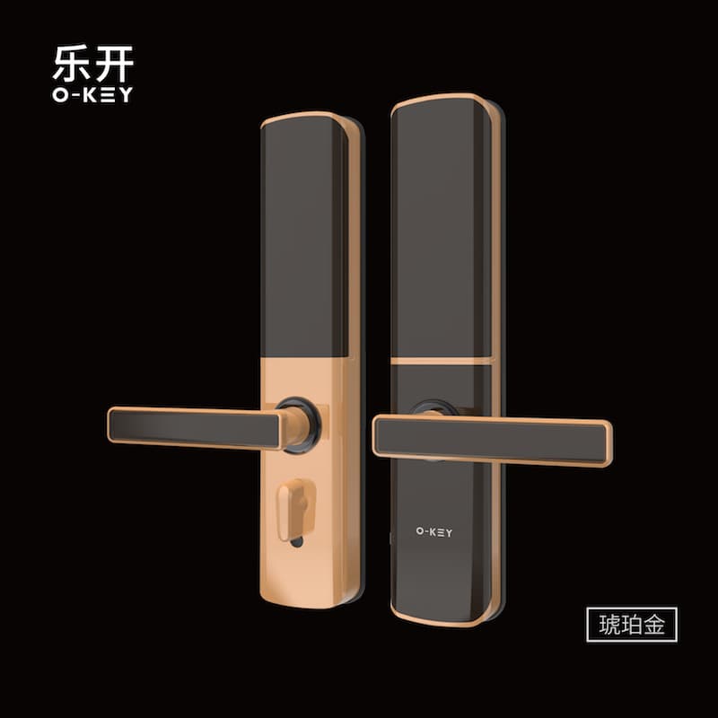 Entrance Door Locks -D18-11 - image 1