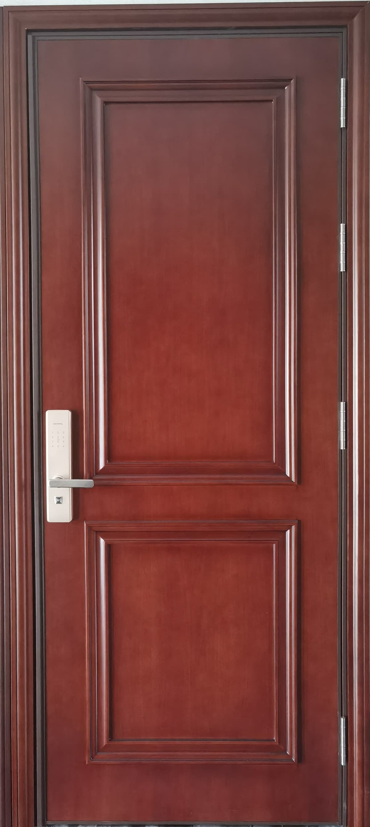 Steel-Wood Entrance Doors M11