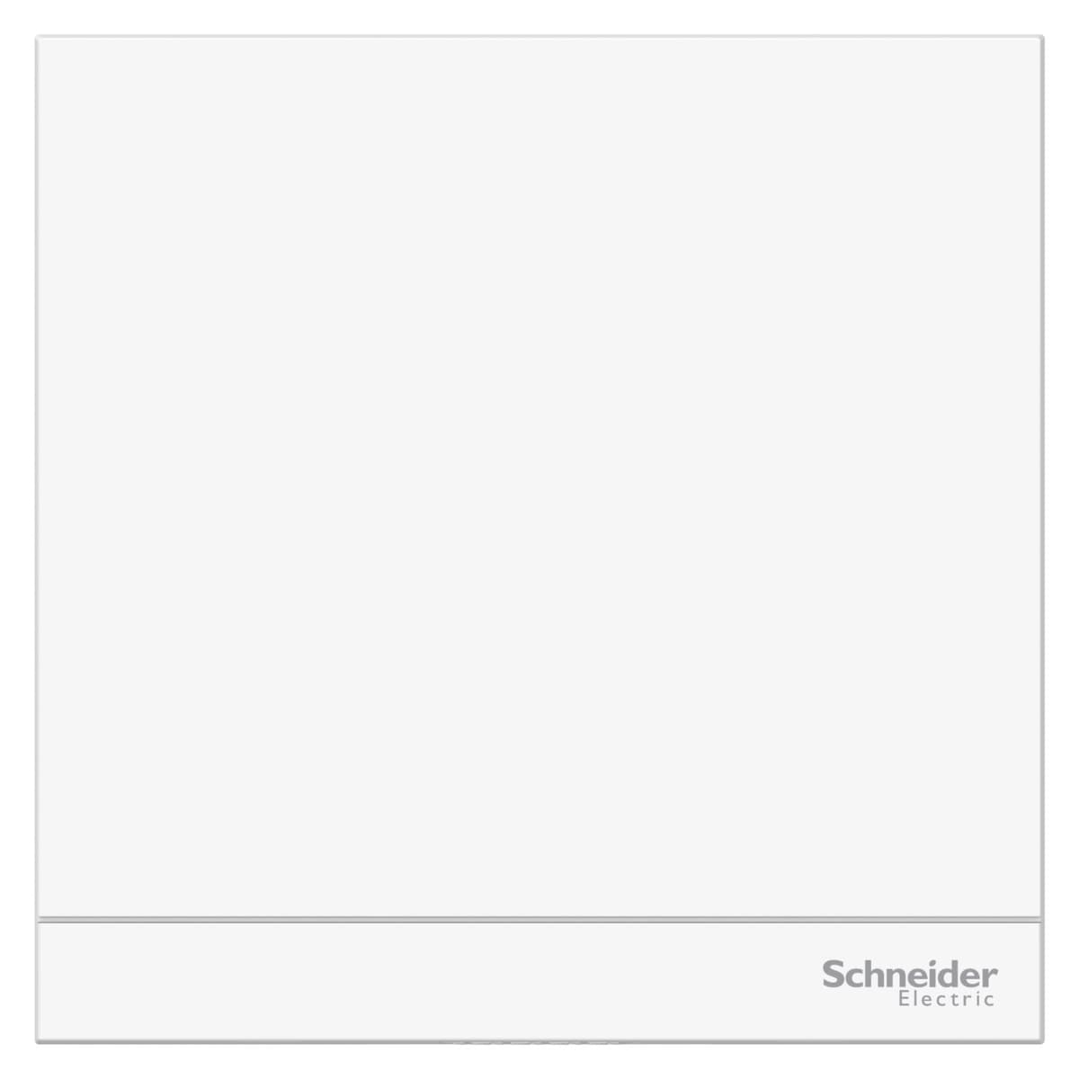 Schneider Switches & Sockets E86