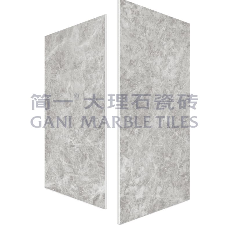 GANI กระเบื้องเซรามิก D695879BM