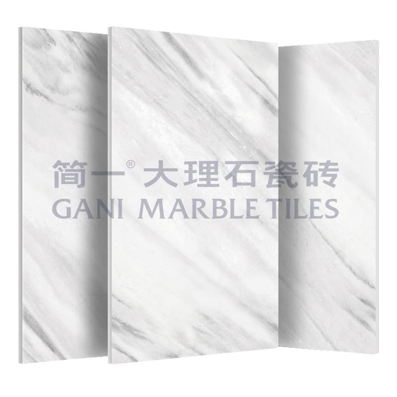 GANI Ceramic Tiles D692816BM
