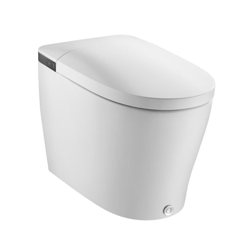 MOEN Ceramic Sanitary Ware SW1364