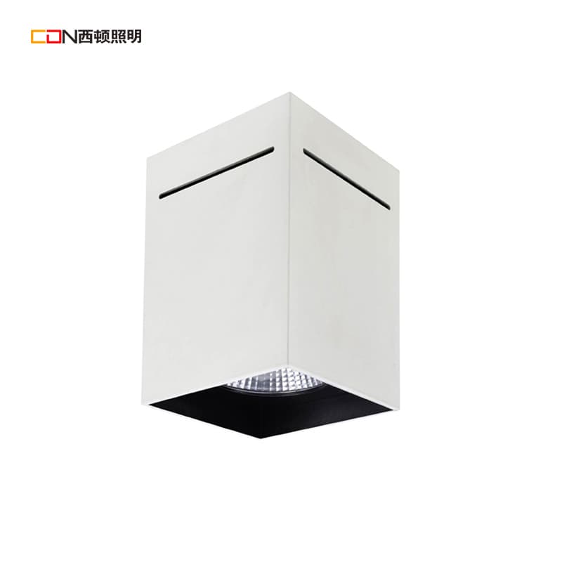 Lighting Fixtures CEXR9101C