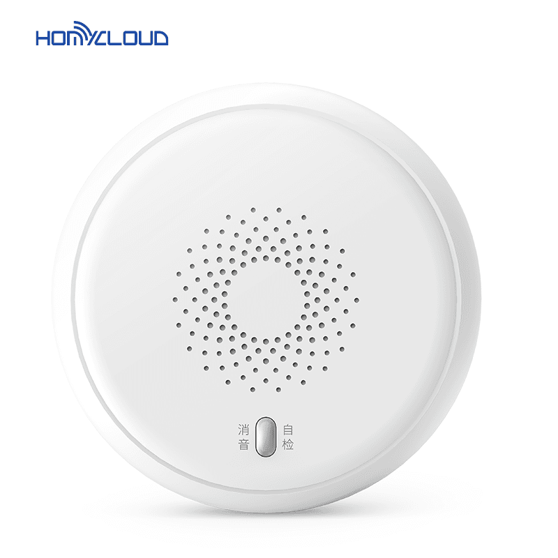 Smart Home SS13E101