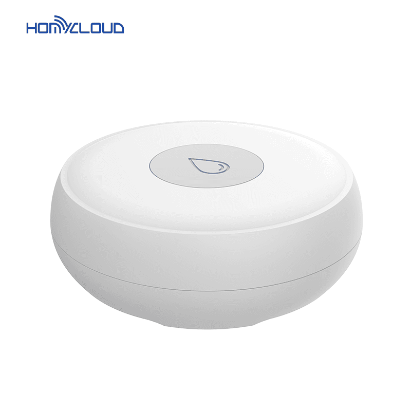 Smart Home WS13D101