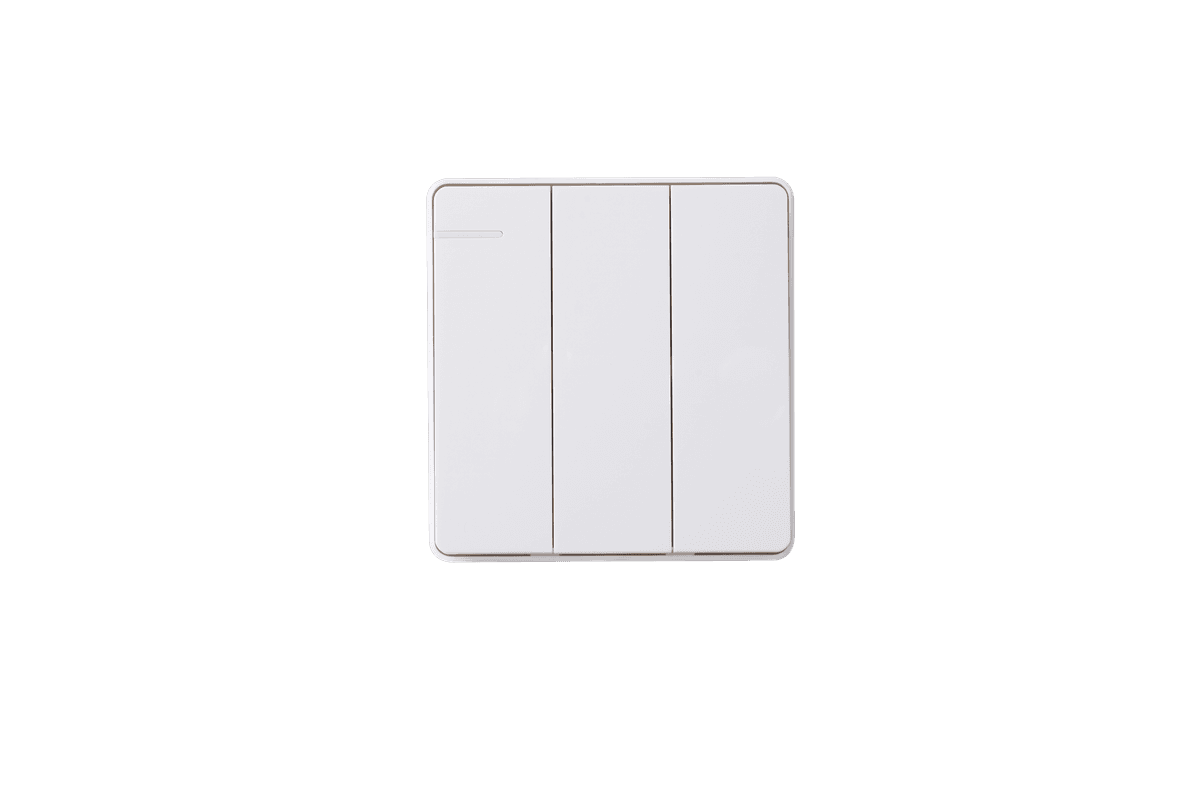 Switches & Sockets N1K31FL