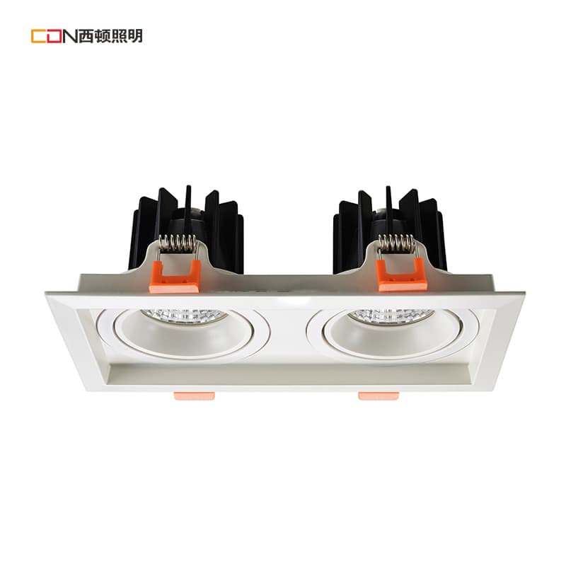 Lighting Fixtures CES2310D-2