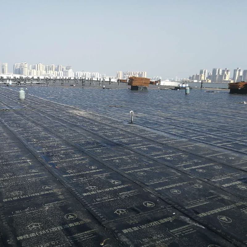Waterproofing Materials II