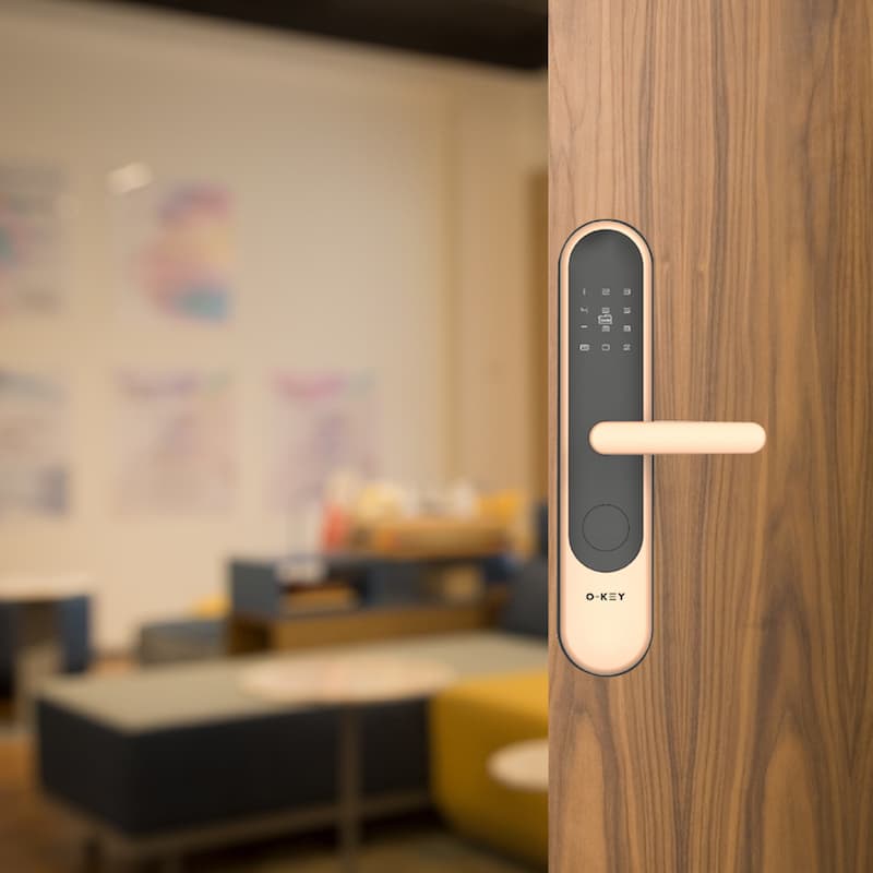 Entrance Door Locks D33-00BDP